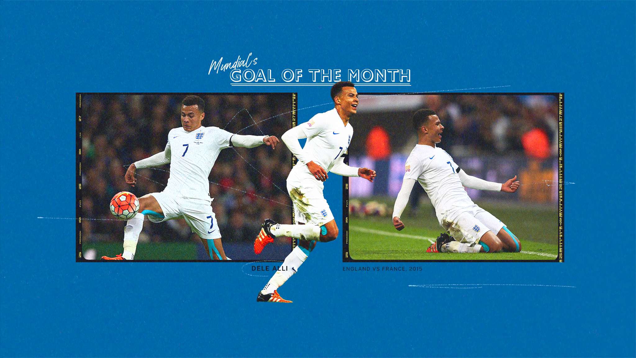 慕尼黑的荷 慕尼黑的荷